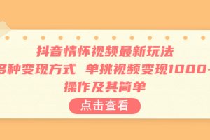 抖音情怀视频最新玩法，多种变现方式，单挑视频变现1000+，操作及其简单