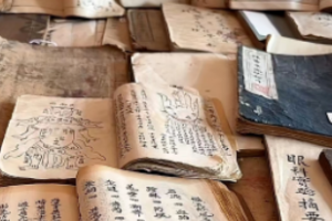 古籍资料无人直播项目，低门槛不露脸，收益高日入300+