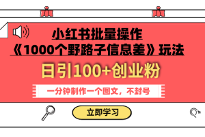 小红书批量操作《1000个野路子信息差》玩法 日引100+创业粉 一分钟一个图文