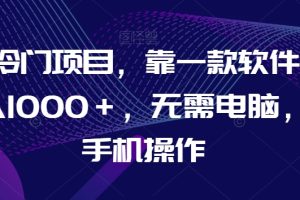 AI冷门项目，靠一款软件，日入1000＋，无需电脑，可手机操作