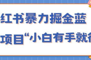 小红书暴力掘金蓝海项目，轻松日入1000+、小白有手就行（附新引流方法，不违规）