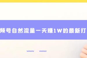 视频号自然流量一天赚1W的最新打法，基本0投资