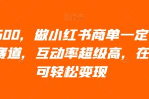 日入600，做小红书商单一定要选这个赛道，互动率超级高，在家即可轻松变现