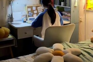 一条视频撬动百万免费流量，精准引流妈妈粉