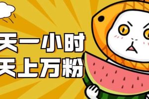 暴力涨粉项目：每天一小时，七天上万粉