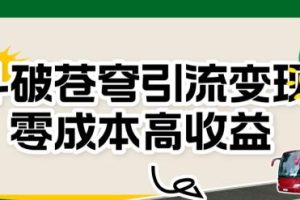 斗破苍穹引流变现，零成本高收益