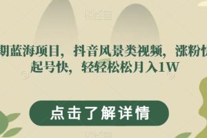 长期蓝海项目，抖音风景类视频，涨粉快，起号快，轻轻松松月入1W